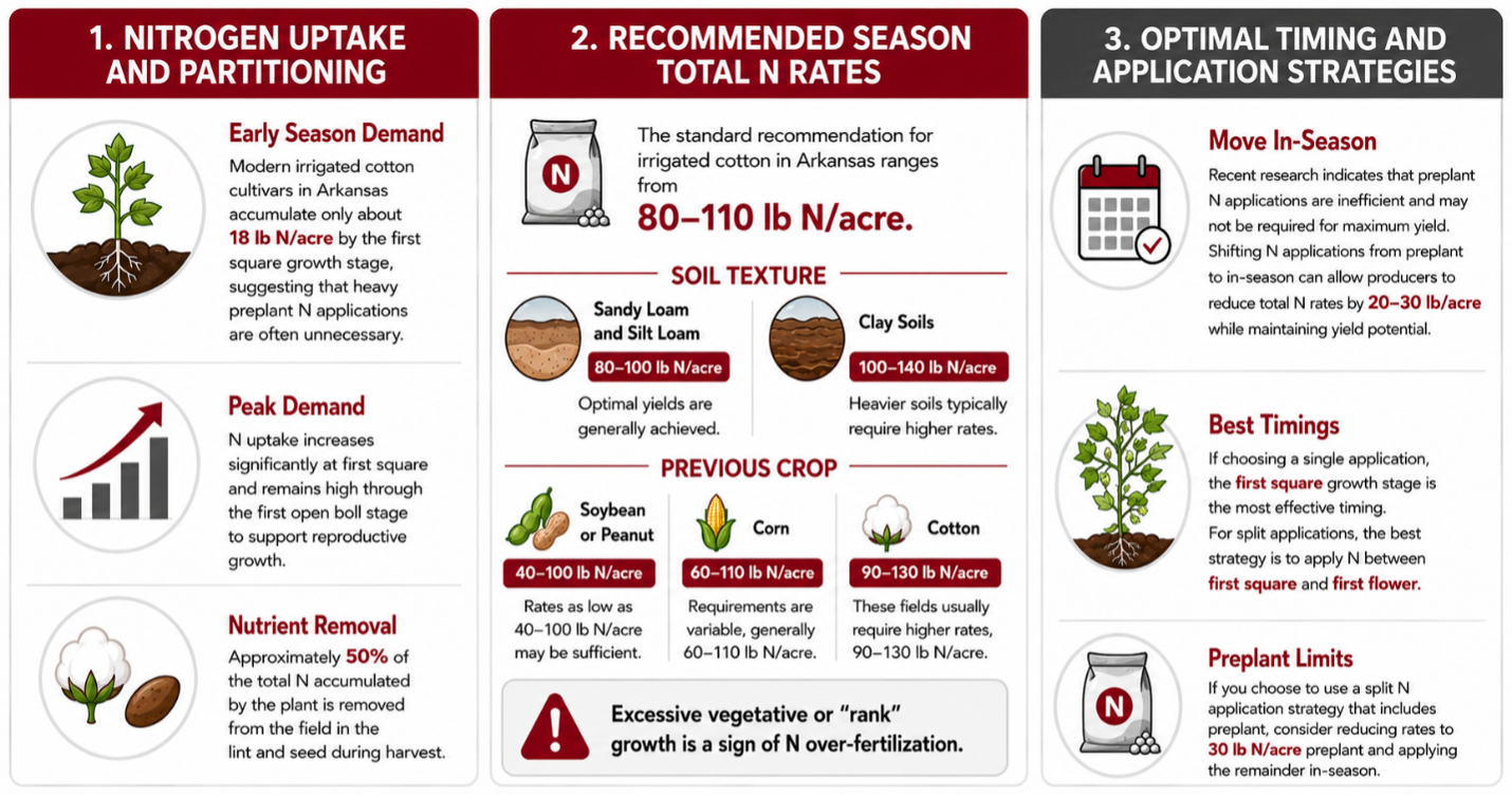 Infographic outlining nitrogen uptake in cotton and recommended season rates and timings