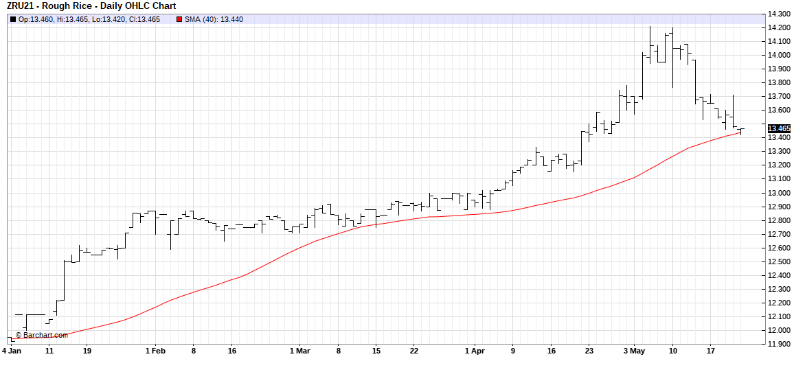 CBOT Rought Rice Futures Daily