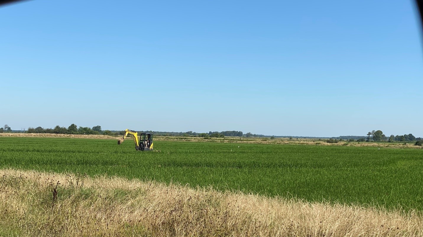 Repairing levees from flooding