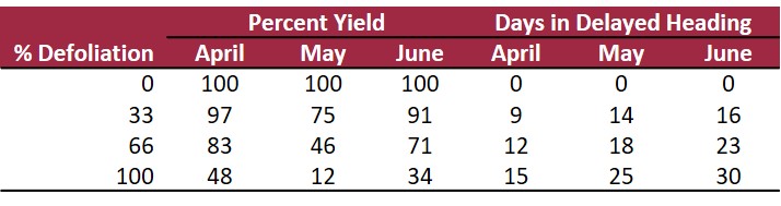 Yield and heading for defoliation at green ring