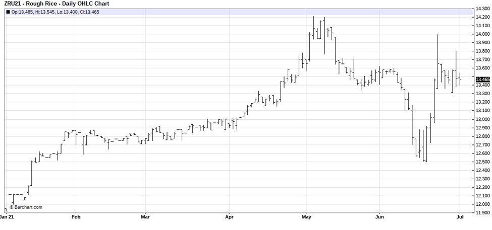 CBOT Rough Rice Sept 2021