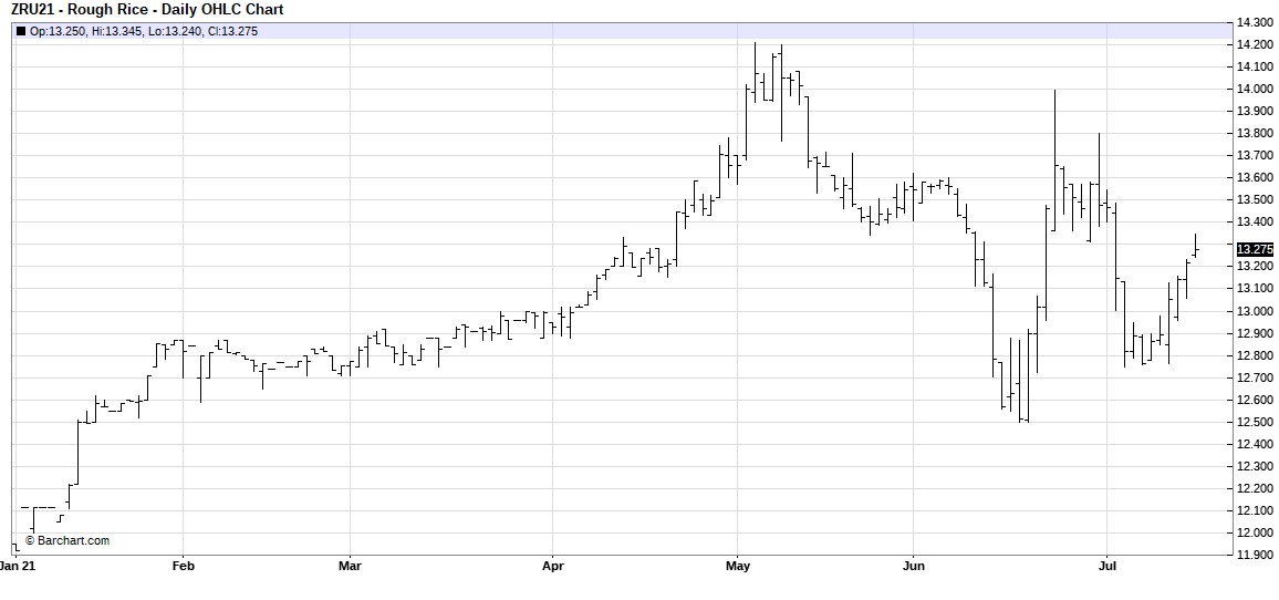 CBOT Rough Rice Sept 2021