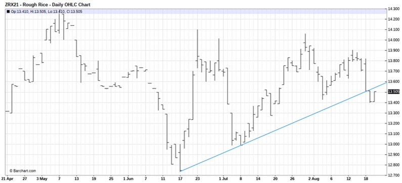 Rough rice Nov 2021 Futures