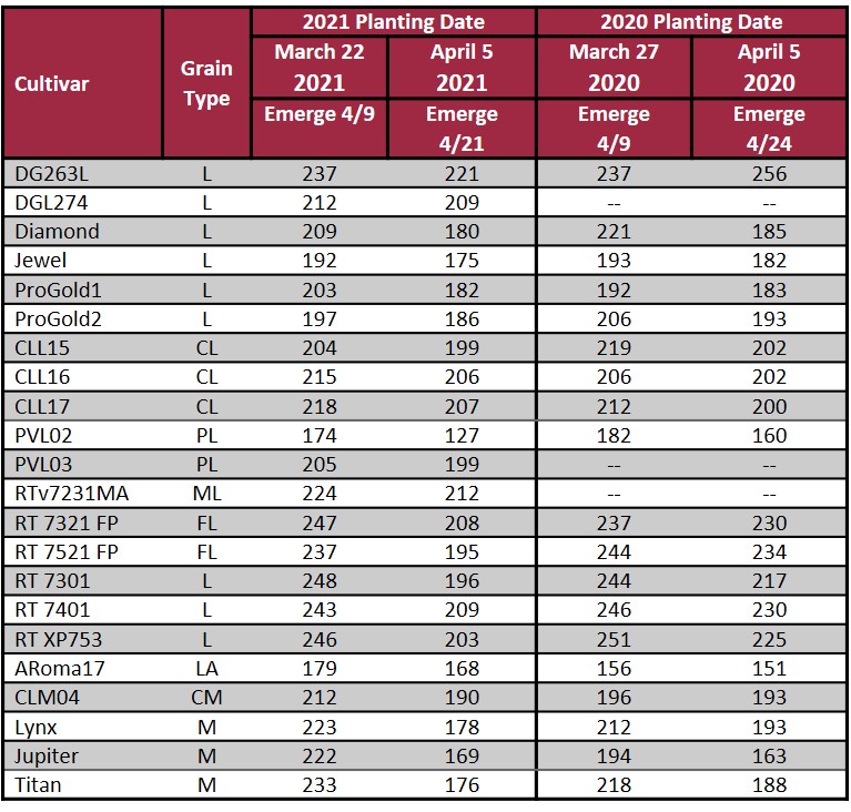 2021 RREC Planting Date vs 2020