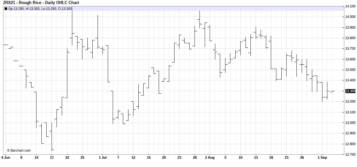 Rough Rice Nov 2021