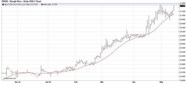 CME Rough Rice Futures, September 2022 daily chart