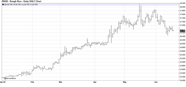 CME September ’22 Rough Rice Futures, Daily Chart