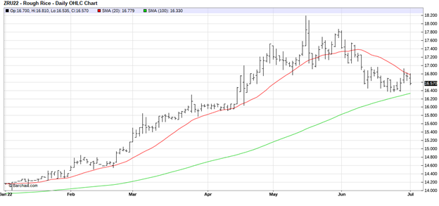 CME Sept 2022 Rough Rice Futures Daily Chart
