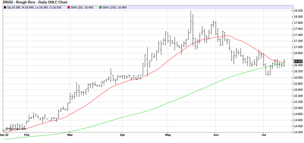 CME September 2022 Rough Rice Futures, Daily Chart