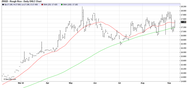 CME Rough Rice Futures, November 2022 Daily Chart