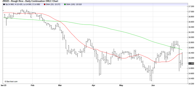 CME September 2023 Rough Rice Futures, Daily Chart