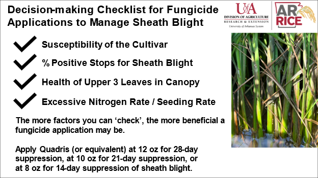 Decision-making checklist for fungicide applications to manage sheath blight: susceptibility of cultivar, positive stops, health of upper canopy, excessive nitrogen / seeding rate
