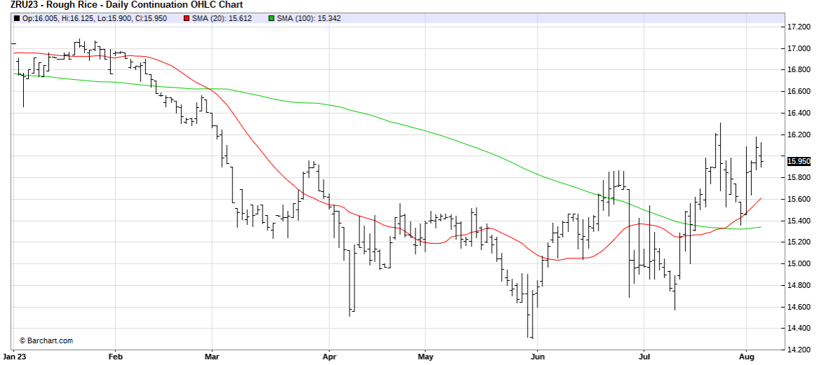 CME Sept. 2023 Rough Rice Futures, Daily Chart