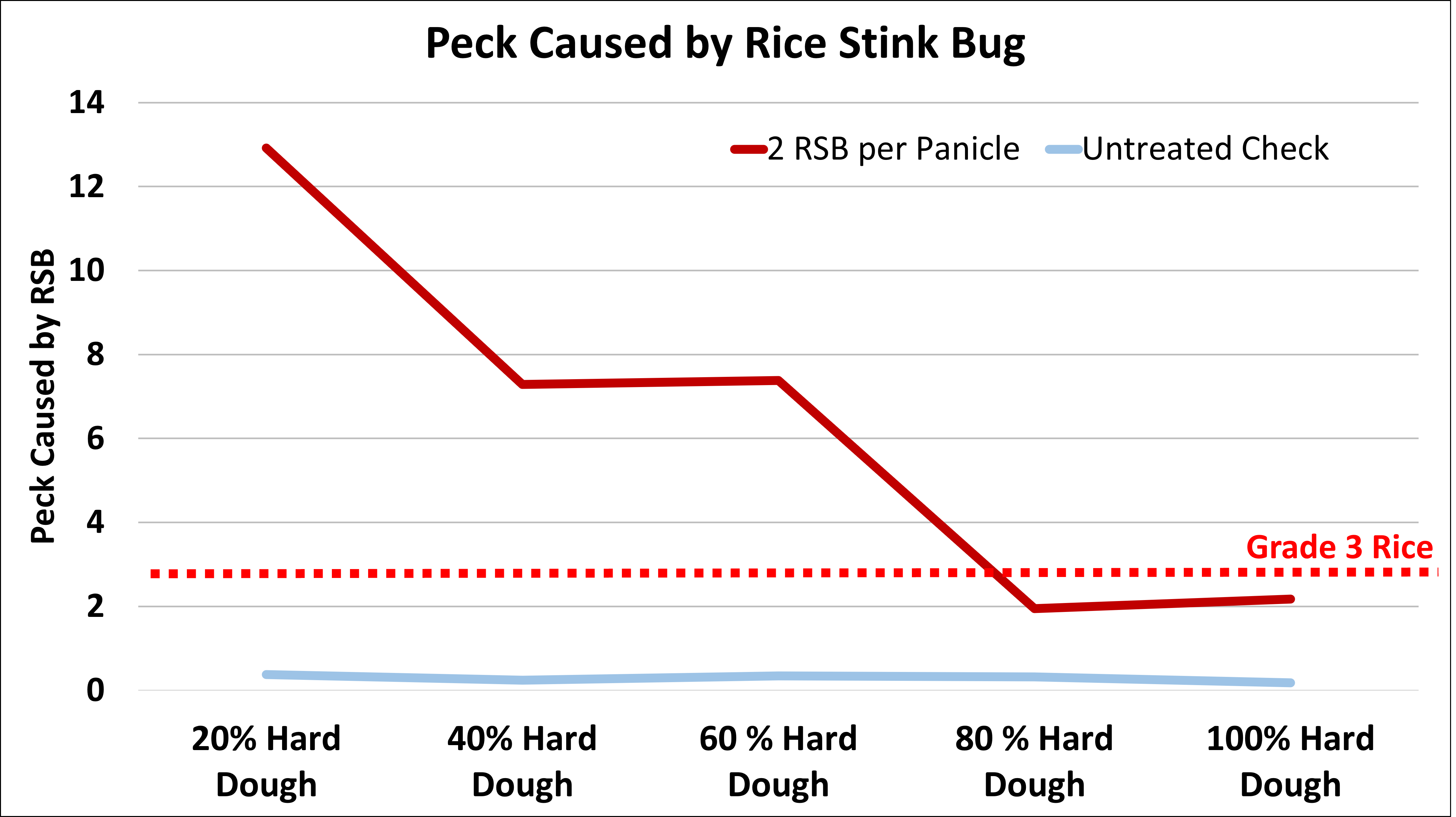 Damage (peck) caused by rice stink bug
