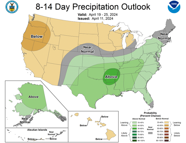 NOAA 8-14 day precipitation outlook