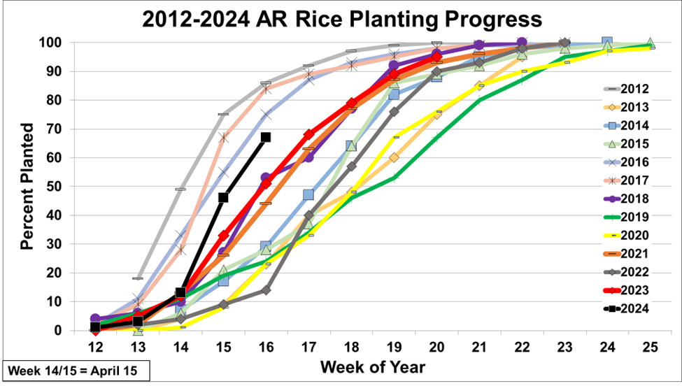 AR Rice Planting Progress
