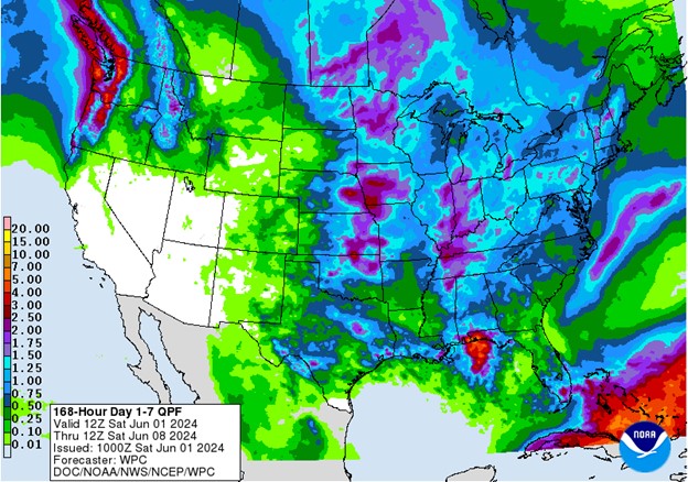 NOAA 7-day precipitation forecast