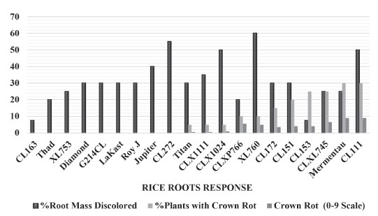 Hydrogen sulfide toxicity ratings by cultivar