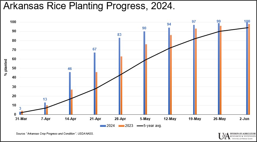 Arkansas rice planting progress 2024