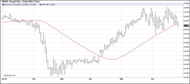 CBOT September Rough Rice Futures Daily Chart