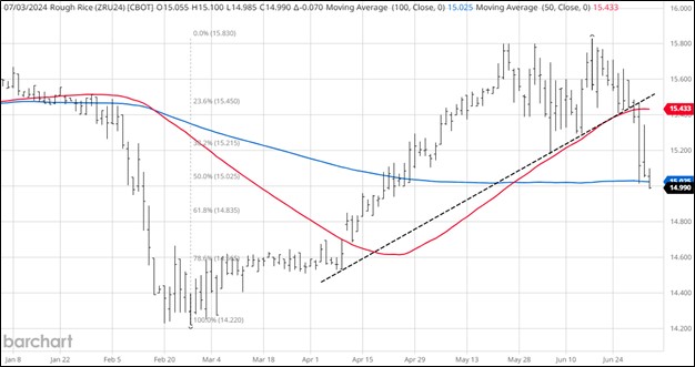 CBOT September 2024 Rough Rice Daily Chart