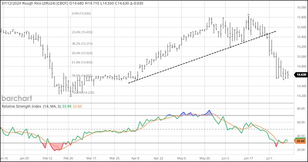 September 2024 Rough Rice Futures, Daily Chart