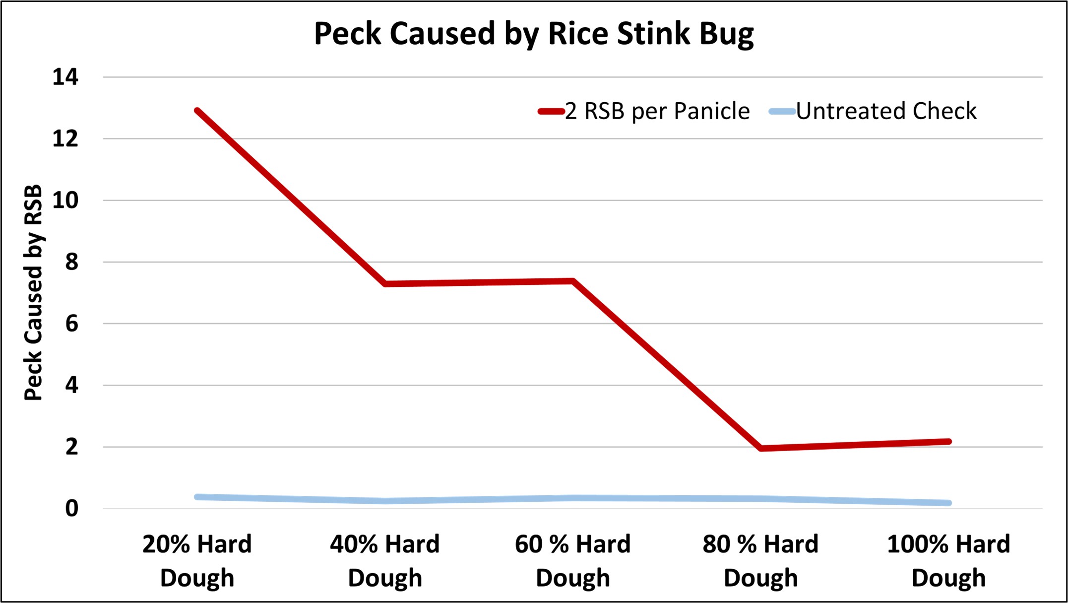 Damage (peck) caused by rice stink bug feeding