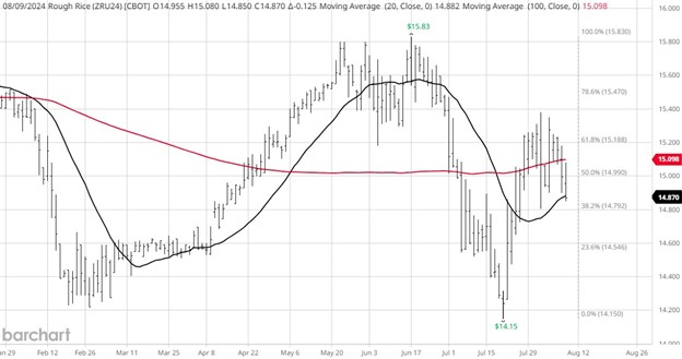 CME Rough Rice, Sep24, daily chart