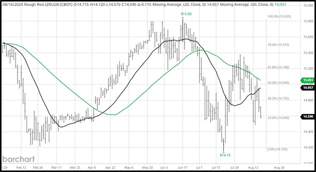 CME September 2024 Rough Rice Futures