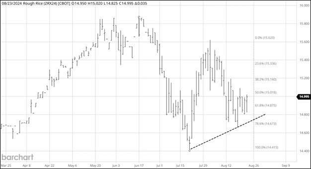 CME November 2024 Rough Rice Futures