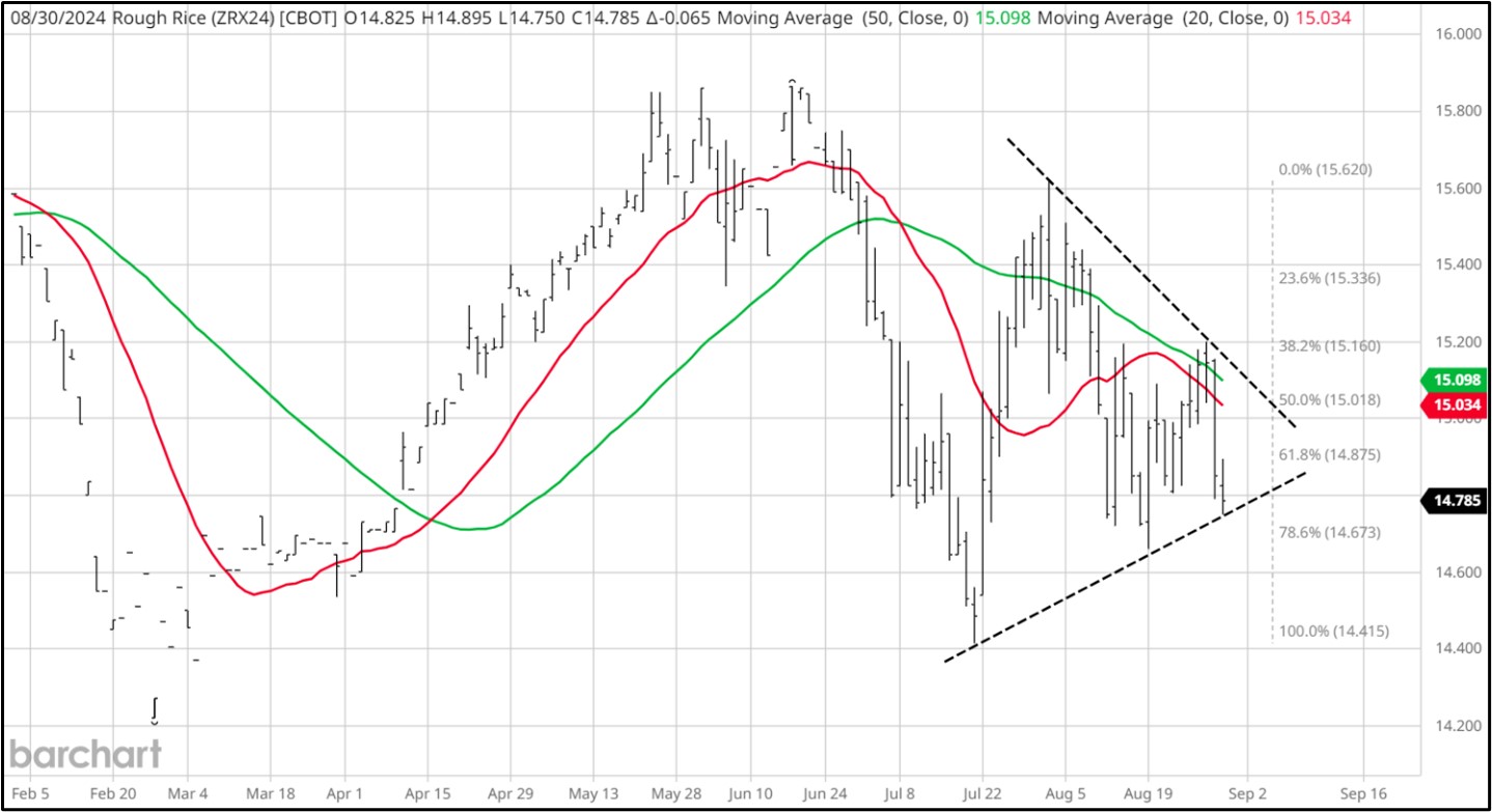 CME November 2024 Rough Rice Futures