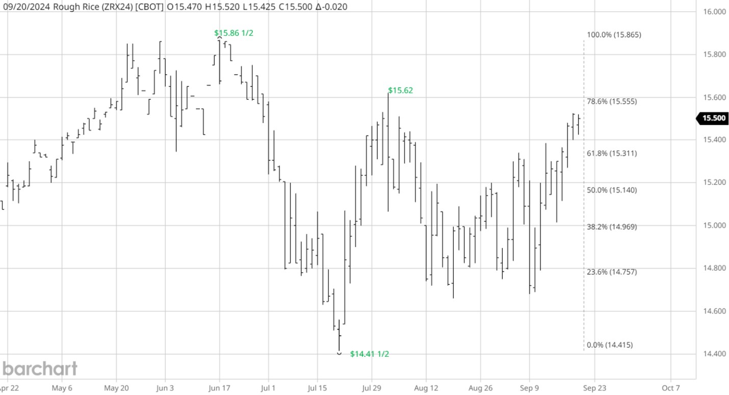 CME Rough Rice, November 2024 Futures, Daily Chart