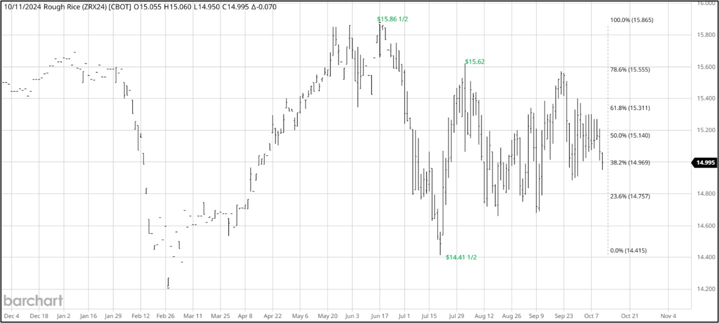 CME November 2024 Rough Rice, Daily Chart