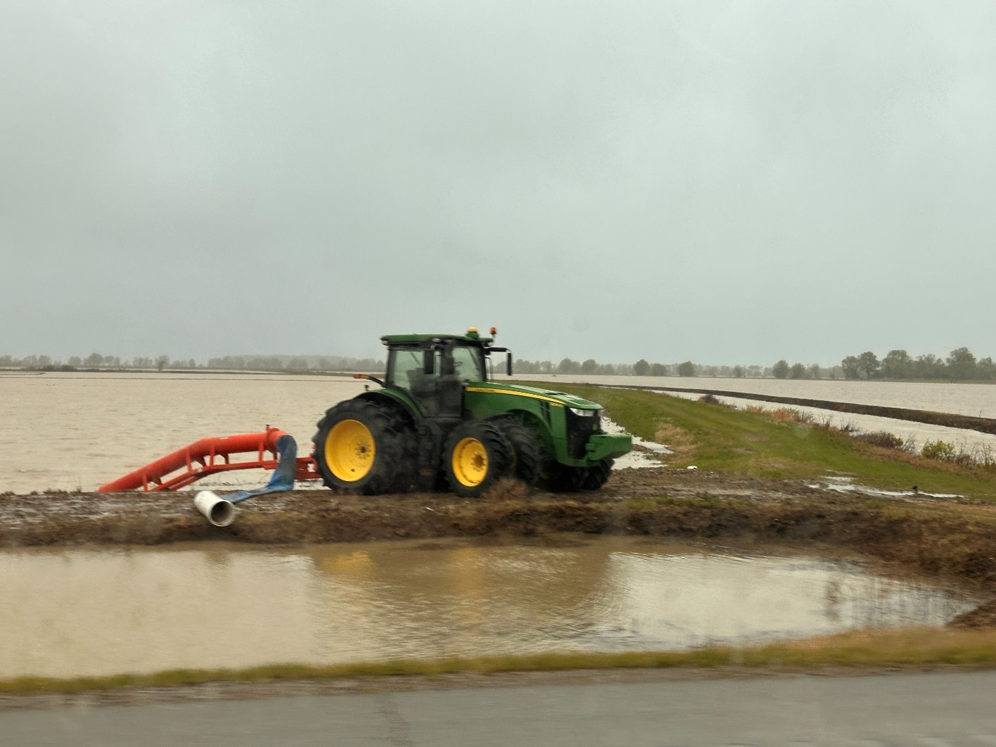 Flooded fields