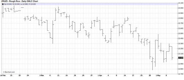 CME September 2025 Rice Futures, Daily Chart