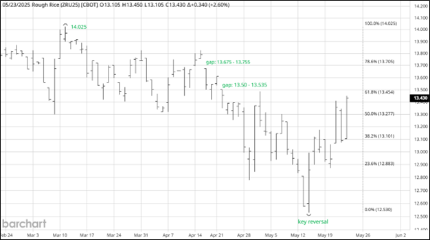 CME September 2025 Rough Rice Futures, Daily Chart