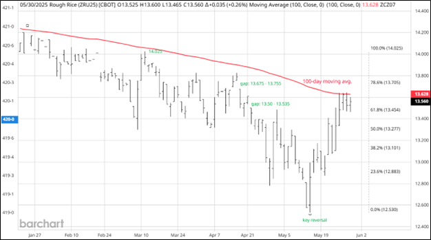 CME September 2025 Rough Rice Futures, Daily Chart