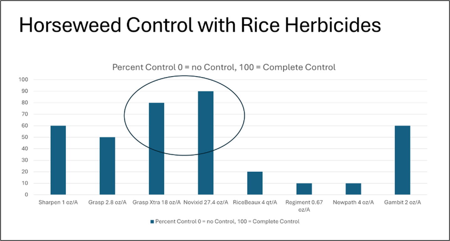 Horseweed control with rice herbicides