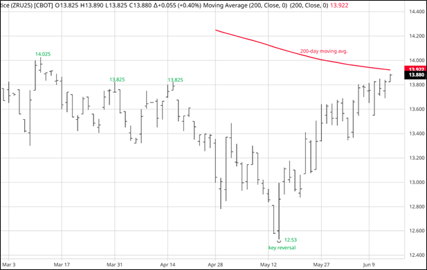 CME September 2025 Rough Rice Futures, Daily Chart