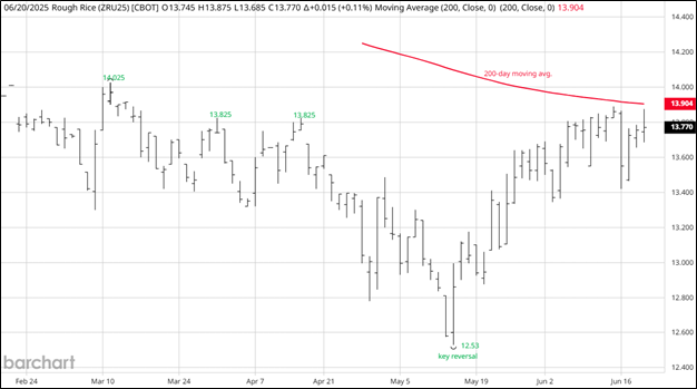 CME September 2025 Rough Rice Futures, Daily Chart