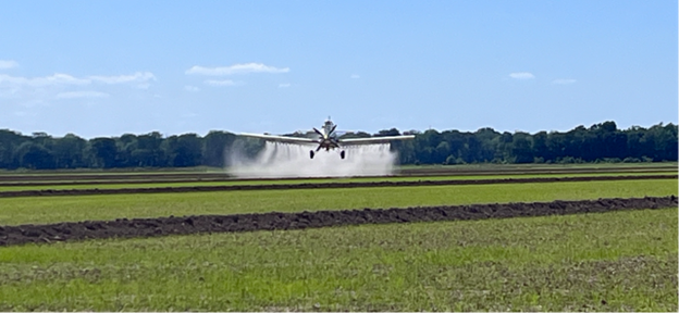 Plane spraying rice