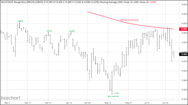 CME September 2025 Rough Rice Futures, Daily Chart