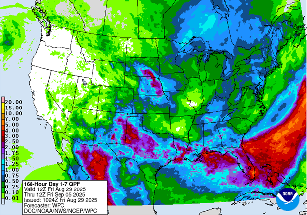 NOAA 7-day precipitation forecast
