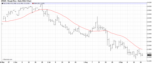 CME November Rice Futures, Daily Chart