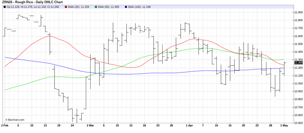 CME July 2026 Rough Rice Futures, Daily Chart