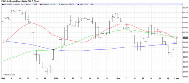 CME September 2026 Rough Rice Futures, Daily Chart