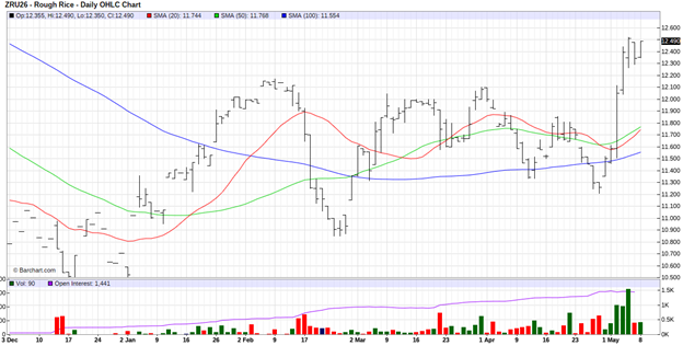 CME September 2026 Rough Rice Futures, Daily Chart