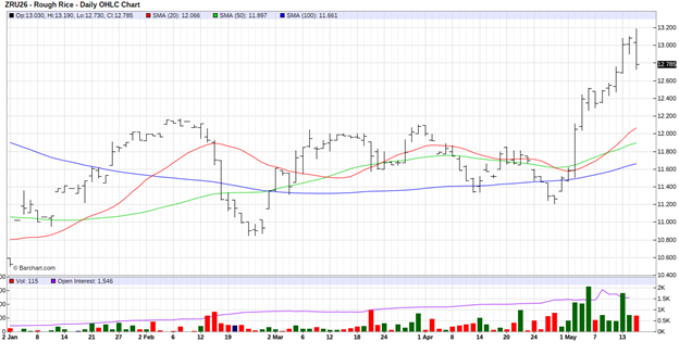 CME September 2026 Rough Rice Futures, Daily Chart