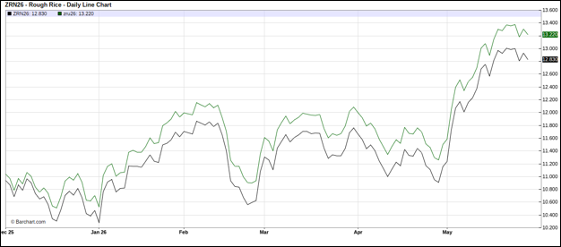CME July and September 2026 Rough Rice Futures, Daily Chart