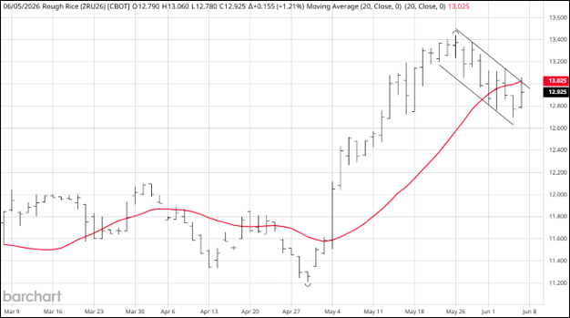 CME September 2026 Rough Rice Futures, Daily Chart